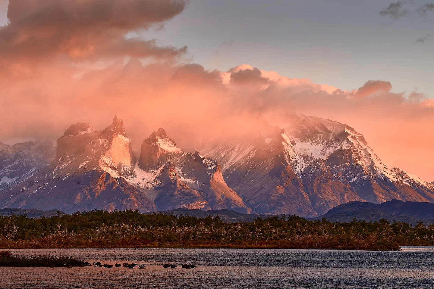 Las cumbres de granito de los Cuernos del Paine resplandecen con luz rosada sobre un lago del Parque Nacional Torres del Paine.