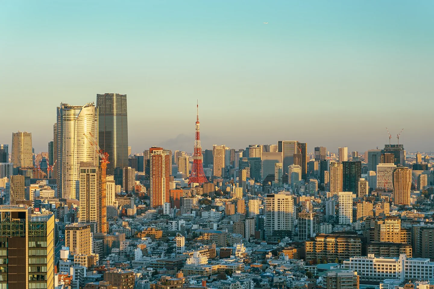 Tokyo Tower and the surrounding Minato skyline in warm late afternoon light.